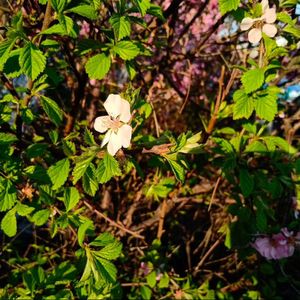 无论你多怪异我还是会喜欢你