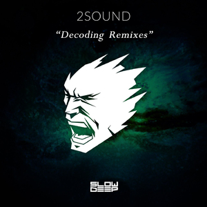 Decoding (Reflact Moog Experience Remix)