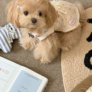 Big Boy Diamonds (sped up)