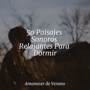 Perdido en el Sueño Hechizado