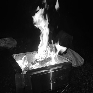 Sa vào Nguy Hiềm