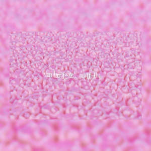 あなたを、しりƒ₌い。