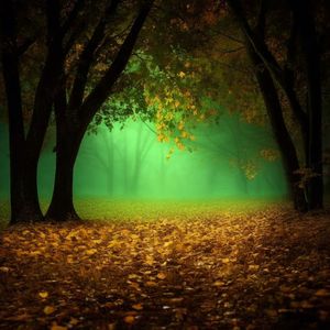 Autumn Ambient Fantasy