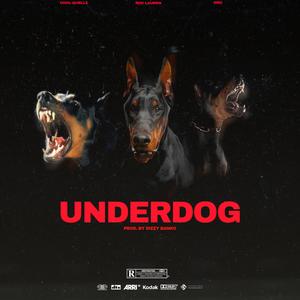 Underdog (feat. Cool Quellz & DiceGameDro)