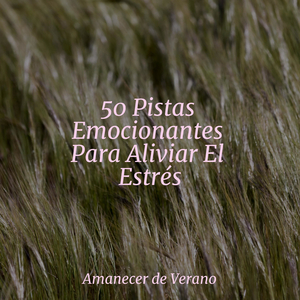 Viaje Éxtatico y Feliz