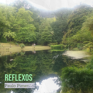 Reflexos