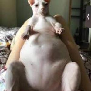 8760