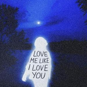 LOVE ME LIKE I LOVE YOU