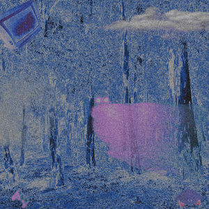 Salvaje