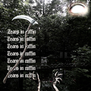 Слёзы в гробу (prod. scaryblunts)