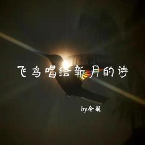 飞鸟唱给新月的诗