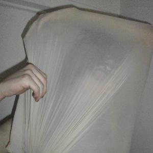 i could never be your woman