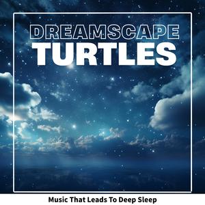 The Undisturbed Wind