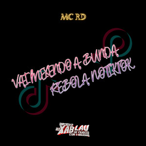 VAI MEXENDO A BUNDA REBOLA NO TIKTOK