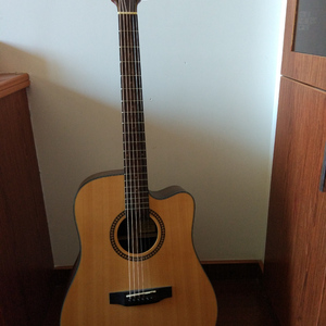 爱尔兰画眉（小小猪的吉他与蓝调口琴合奏）