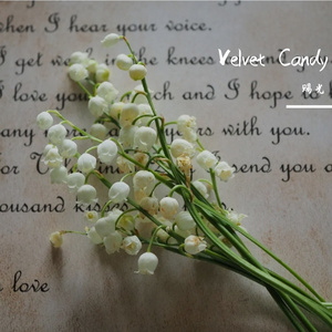 Velvet Candy