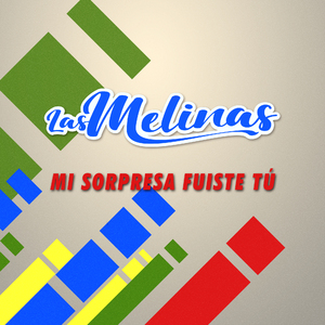 Mi Sorpresa Fuiste Tú