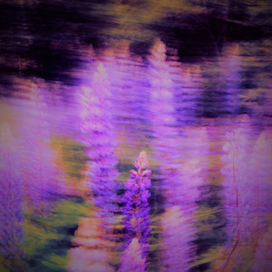 Natsukashii (Meditation)