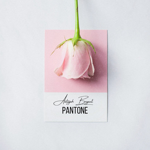 Pantone
