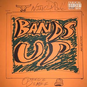 Bands Up (feat. Nikko Da Bull)