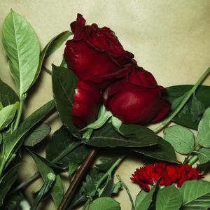 i know you so well