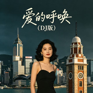 爱的呼唤(DJ版)