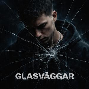 Glasväggar