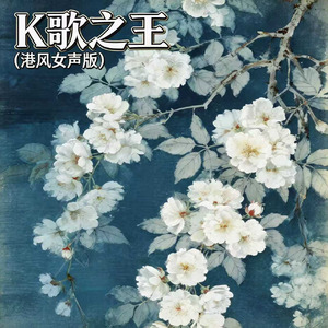 K歌之王(港风女声版)