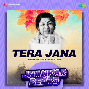 Tera Jana - Jhankar Beats