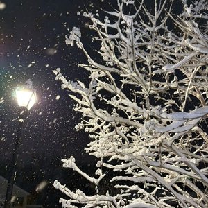 雪解けのYes No（融雪的Yes No）