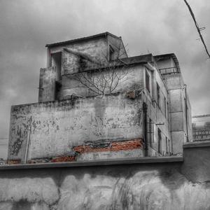 亚细亚的孤儿/现象七十二变