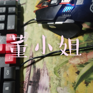 董小姐（翻自 宋冬野）