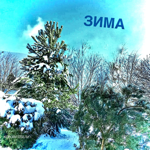 Зима