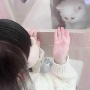 你那不是丧你那是怂