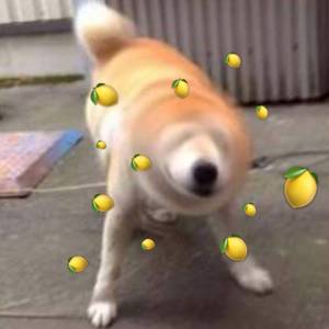 下着柠檬海盐汽水化的雨的那天我恋爱了