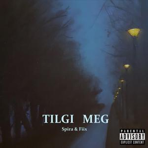 Tilgi Meg