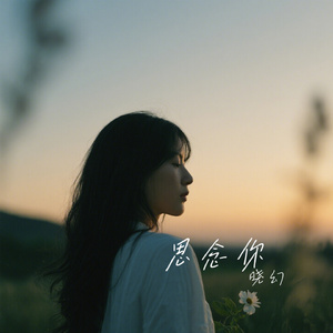 思念你
