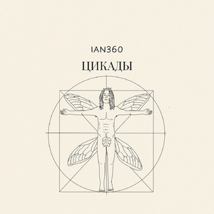 Цикады