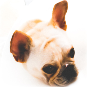 อยากให้เธอรู้ อยู่ให้เธอรัก