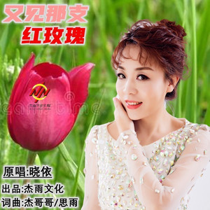 又见那支红玫瑰 (伴奏)