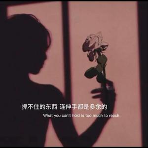 刀剑如梦—周华健（钢琴曲 remix）