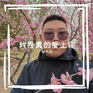 我是真的爱上你