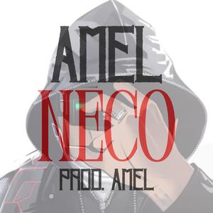 NĚCO