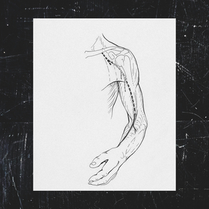Circulatory