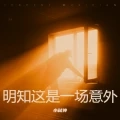 明知这是一场意外 你要不要来 (小弑神 remix)