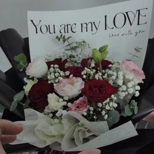 暖光与玫瑰絮语