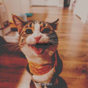 精彩压力大的猫环境