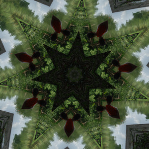 Have the courage to pursue your goals and live your dreams, not those of others' expectations or perceptions of you