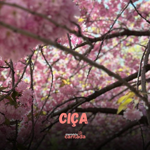 Ciça