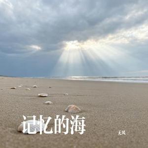 记忆的海